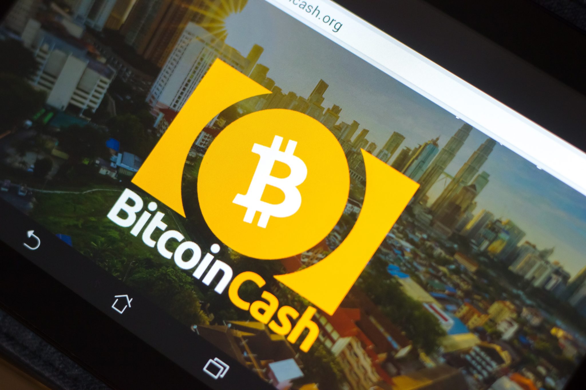 Bitcoin Cash là một trong những đồng tiền số top đầu về khối lượng giao dịch trên thị trường